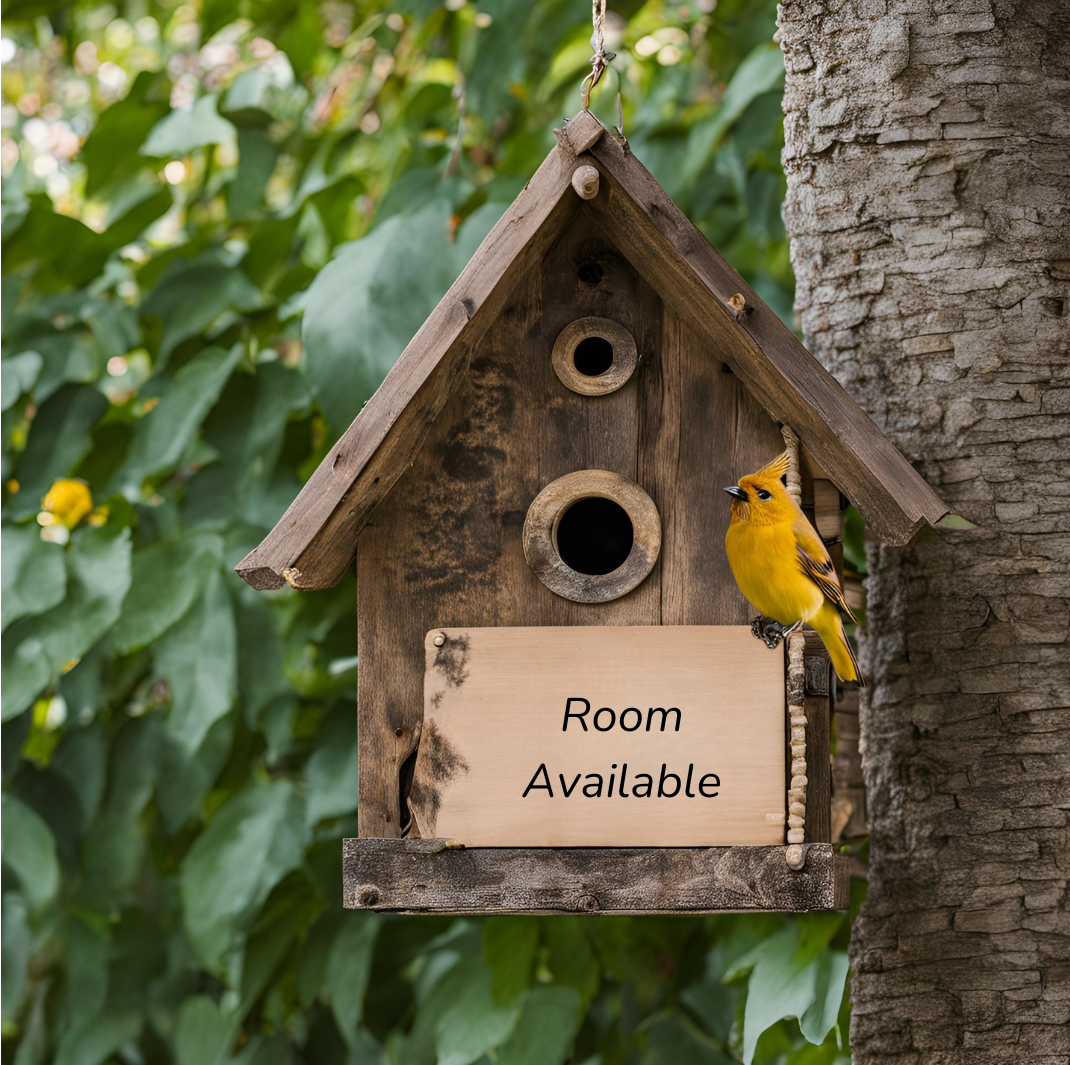 If My Nest is Empty, Why is My Basement Still Full?