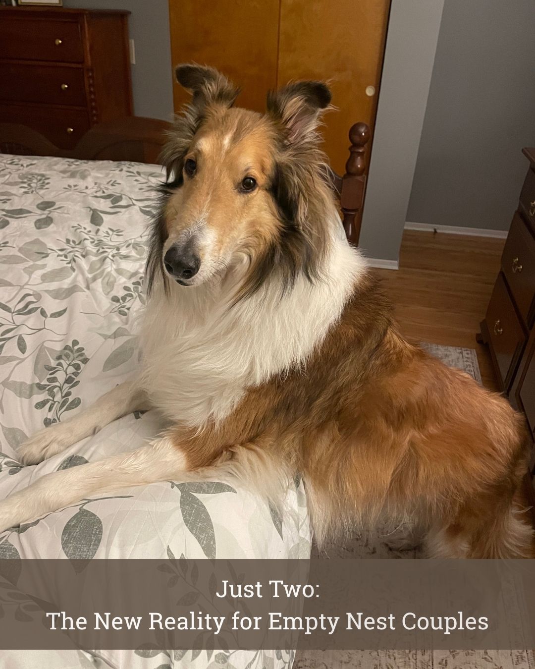 Just Two: The New Reality for Empty Nest Couples